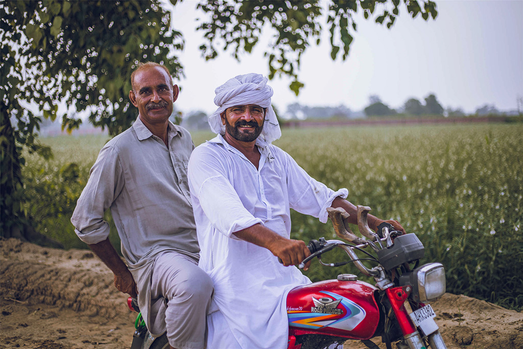 芝麻種植基地給當地人帶來更多就業機會。（人民網記者 薛丹攝）